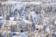 20220321-DSC04521-Kopie