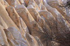 20220321-DSC04544-Kopie