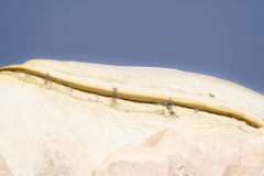 20220321-DSC04545-Kopie