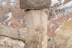 20220321-DSC04646